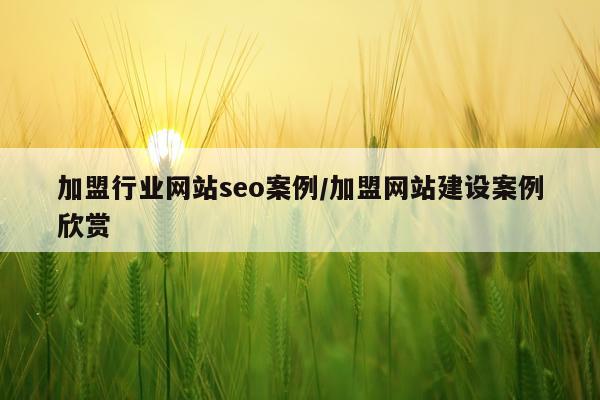 加盟行业网站seo案例/加盟网站建设案例欣赏