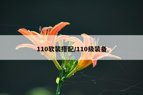 110软装搭配/110级装备