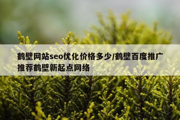 鹤壁网站seo优化价格多少/鹤壁百度推广推荐鹤壁新起点网络