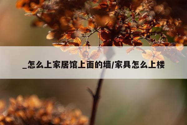 _怎么上家居馆上面的墙/家具怎么上楼