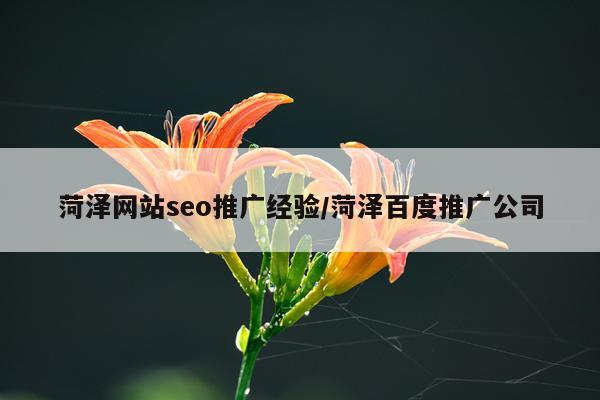 菏泽网站seo推广经验/菏泽百度推广公司