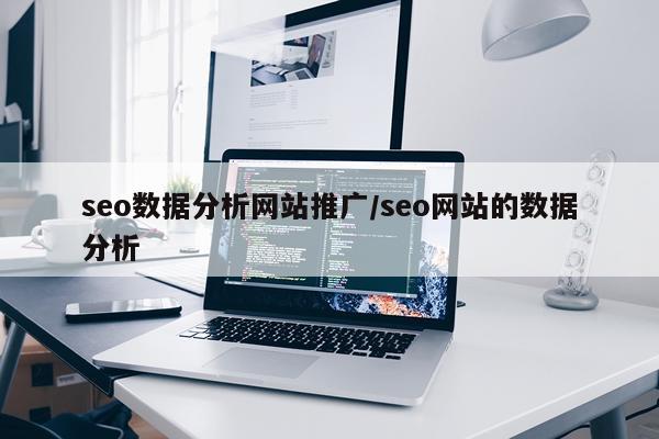 seo数据分析网站推广/seo网站的数据分析