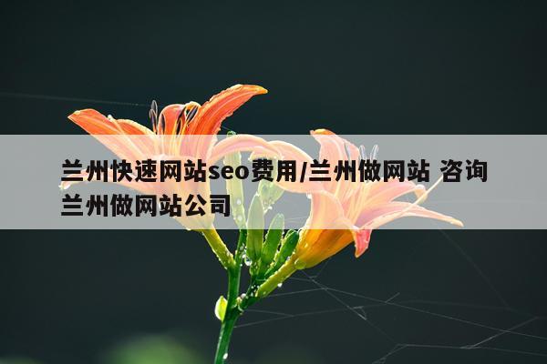 兰州快速网站seo费用/兰州做网站 咨询兰州做网站公司