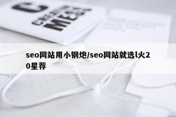 seo网站用小钢炮/seo网站就选l火20星荐
