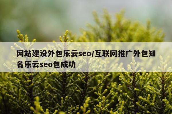 网站建设外包乐云seo/互联网推广外包知名乐云seo包成功