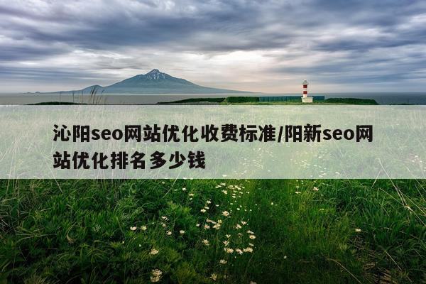 沁阳seo网站优化收费标准/阳新seo网站优化排名多少钱