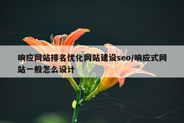 响应网站排名优化网站建设seo/响应式网站一般怎么设计
