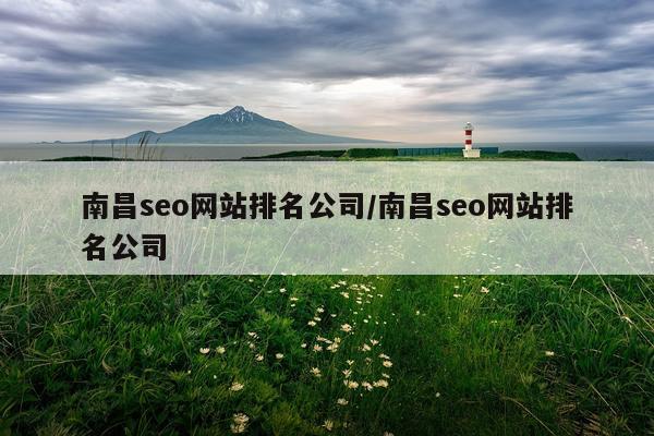 南昌seo网站排名公司/南昌seo网站排名公司