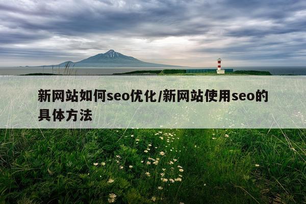 新网站如何seo优化/新网站使用seo的具体方法