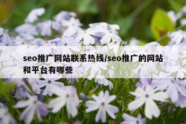 seo推广网站联系热线/seo推广的网站和平台有哪些