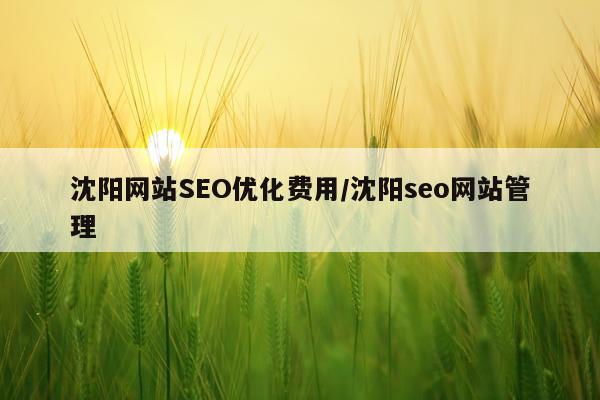 沈阳网站SEO优化费用/沈阳seo网站管理