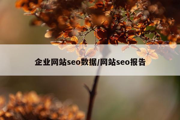 企业网站seo数据/网站seo报告