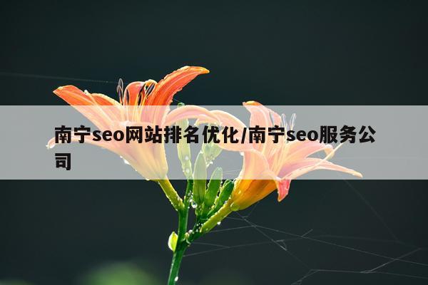 南宁seo网站排名优化/南宁seo服务公司