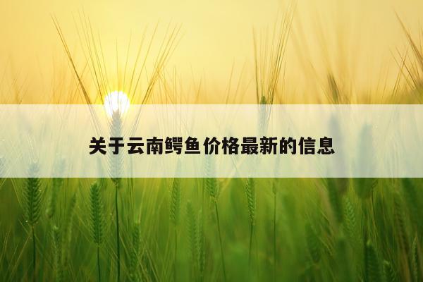 关于云南鳄鱼价格最新的信息