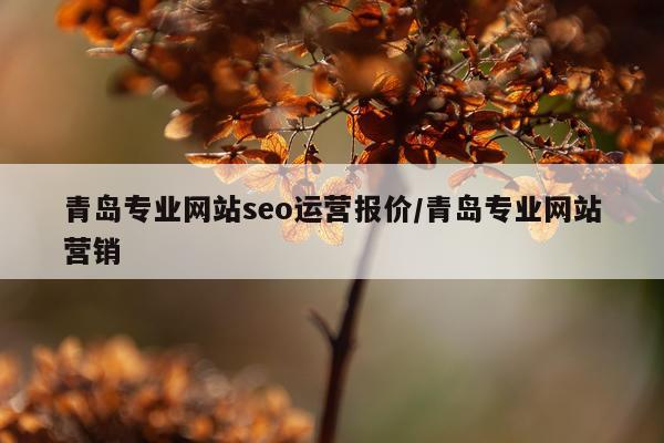 青岛专业网站seo运营报价/青岛专业网站营销