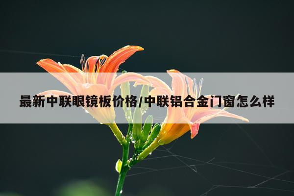 最新中联眼镜板价格/中联铝合金门窗怎么样