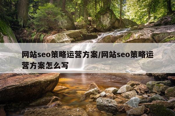 网站seo策略运营方案/网站seo策略运营方案怎么写