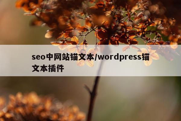 seo中网站锚文本/wordpress锚文本插件