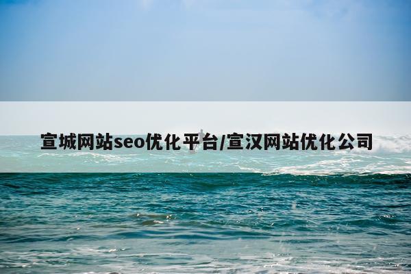 宣城网站seo优化平台/宣汉网站优化公司