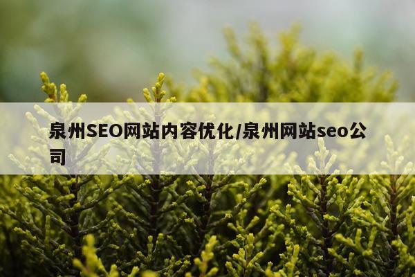 泉州SEO网站内容优化/泉州网站seo公司