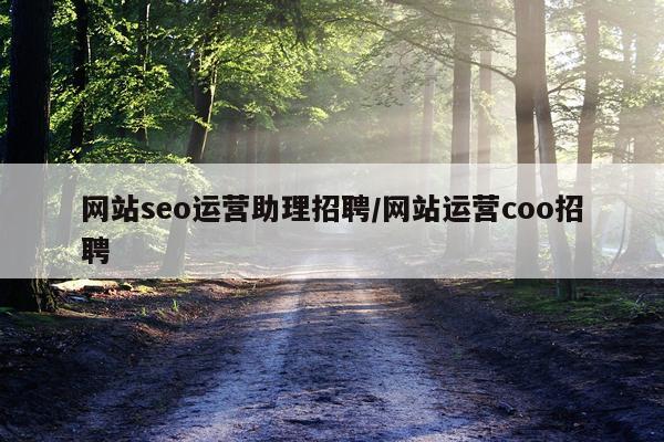 网站seo运营助理招聘/网站运营coo招聘