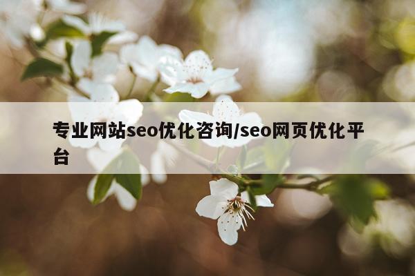 专业网站seo优化咨询/seo网页优化平台