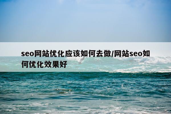 seo网站优化应该如何去做/网站seo如何优化效果好