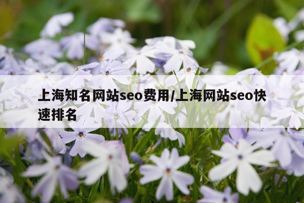 上海知名网站seo费用/上海网站seo快速排名