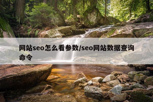 网站seo怎么看参数/seo网站数据查询命令