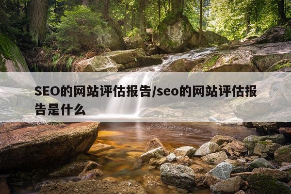 SEO的网站评估报告/seo的网站评估报告是什么