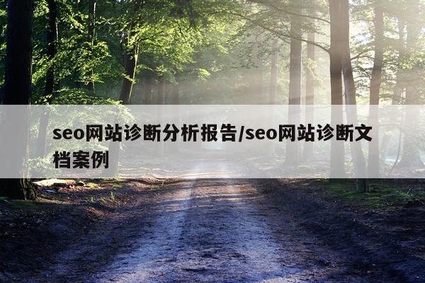 seo网站诊断分析报告/seo网站诊断文档案例