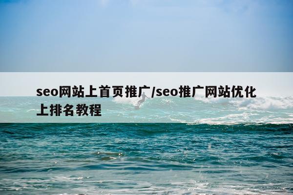 seo网站上首页推广/seo推广网站优化上排名教程