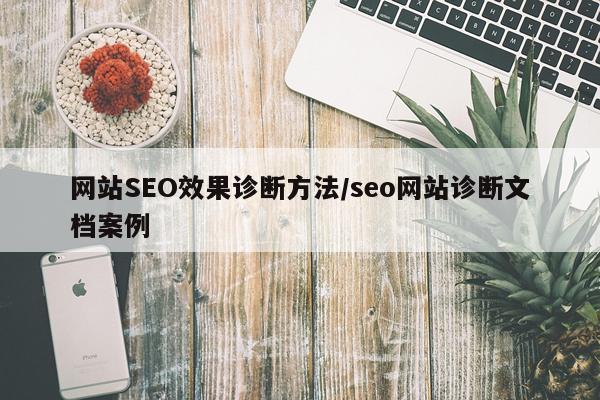 网站SEO效果诊断方法/seo网站诊断文档案例