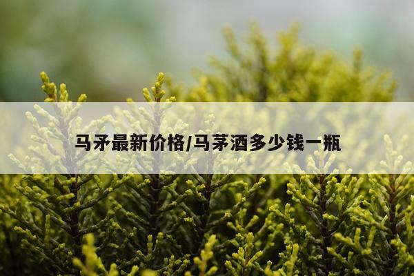 马矛最新价格/马茅酒多少钱一瓶
