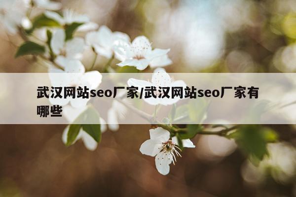 武汉网站seo厂家/武汉网站seo厂家有哪些