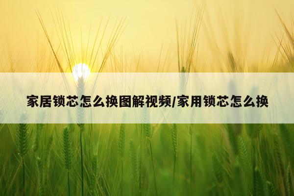 家居锁芯怎么换图解视频/家用锁芯怎么换