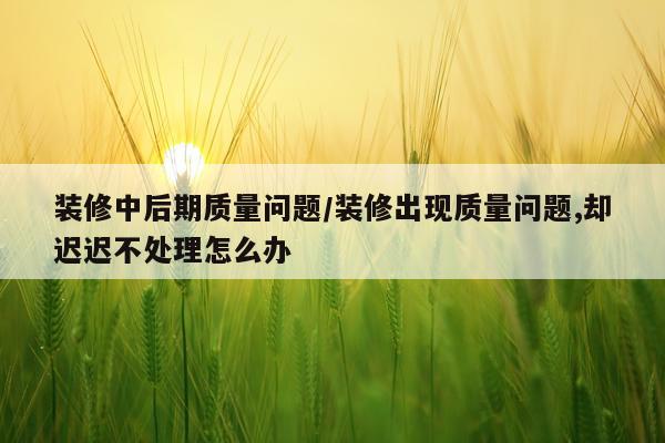 装修中后期质量问题/装修出现质量问题,却迟迟不处理怎么办