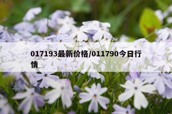017193最新价格/011790今日行情