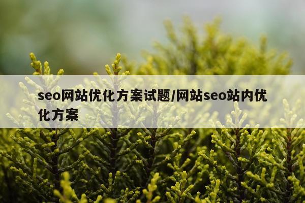 seo网站优化方案试题/网站seo站内优化方案