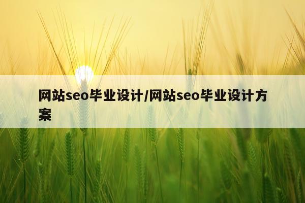 网站seo毕业设计/网站seo毕业设计方案