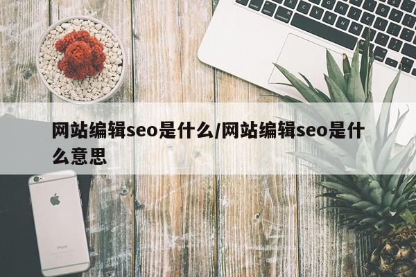 网站编辑seo是什么/网站编辑seo是什么意思