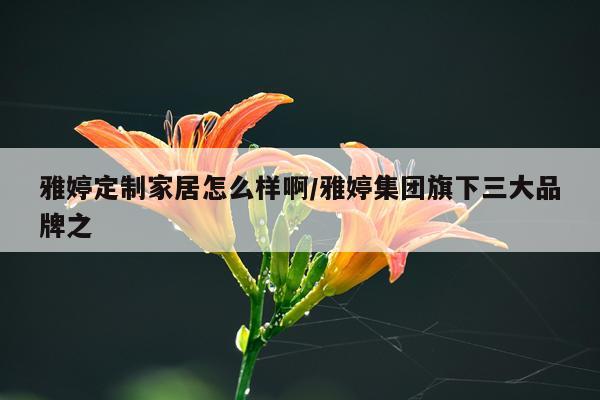 雅婷定制家居怎么样啊/雅婷集团旗下三大品牌之