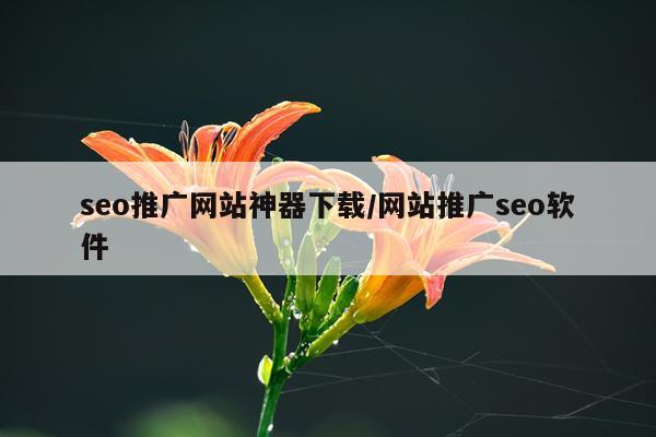 seo推广网站神器下载/网站推广seo软件