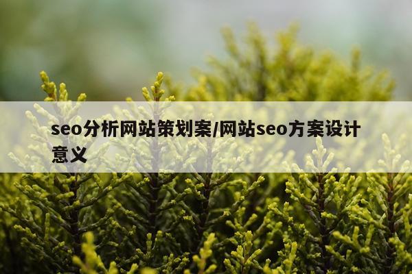 seo分析网站策划案/网站seo方案设计意义