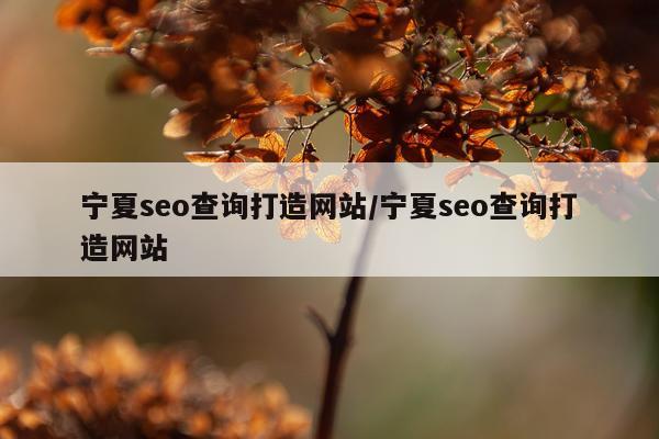 宁夏seo查询打造网站/宁夏seo查询打造网站