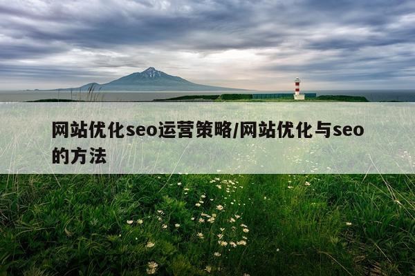 网站优化seo运营策略/网站优化与seo的方法