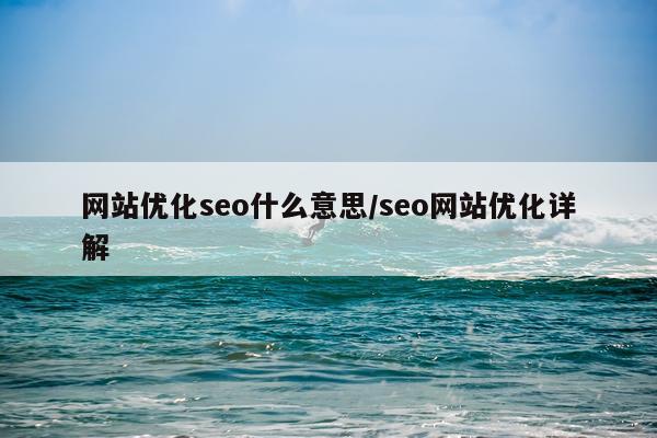 网站优化seo什么意思/seo网站优化详解