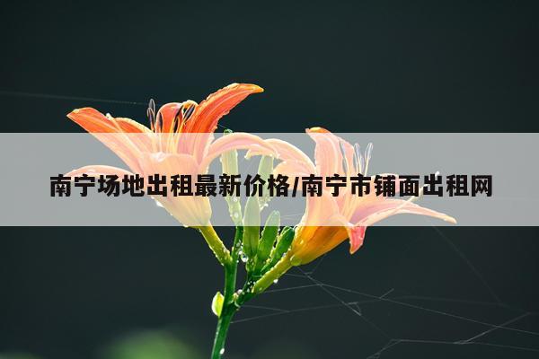 南宁场地出租最新价格/南宁市铺面出租网