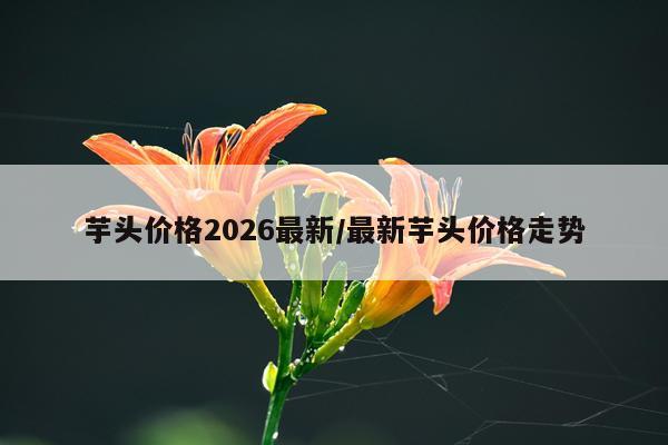 芋头价格2026最新/最新芋头价格走势