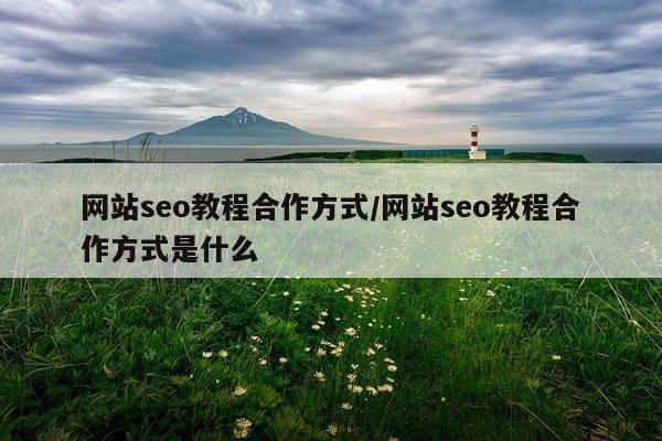 网站seo教程合作方式/网站seo教程合作方式是什么
